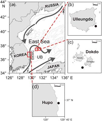 Trophic structure of fish assemblages in two offshore islands (Ulleungdo and Dokdo) of Korea revealed using stable isotope analysis